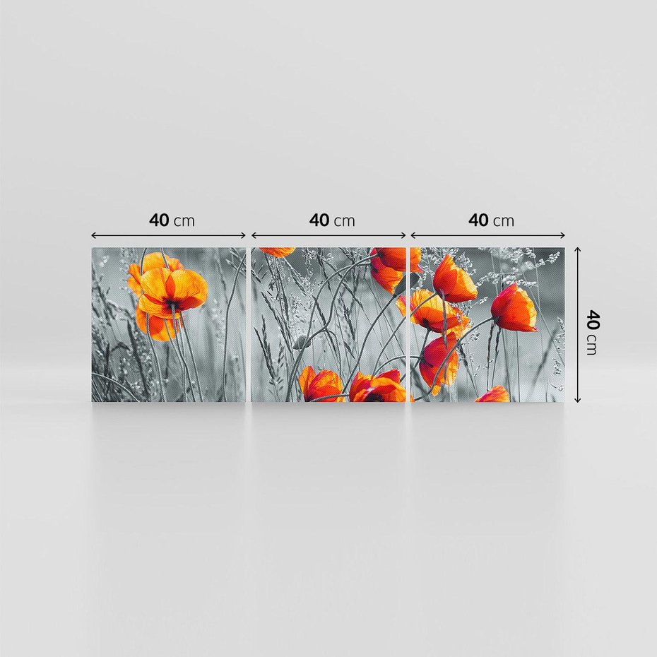 Obraz na płótnie 120x40 - Malownicza łąka - maki, mak