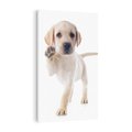 Obraz na płótnie 70x100 - Szczeniak pełen radości - piesek, szczeniak