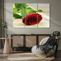 Obraz na płótnie 120x80 - delikatność kwiatu - róża, kwiat