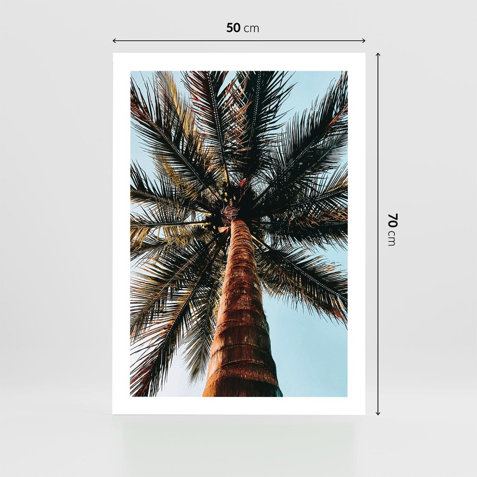 Plakat bez ramy 50x70 - Rajskie Inspiracje: Palma na Niebie - palma, na tle nieba