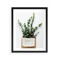 Plakat w ramie 40x50 - Eukaliptusowa harmonia - eukaliptus, liście - rama czarna