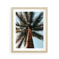 Plakat w ramie 40x50 - Rajskie Inspiracje: Palma na Niebie - palma, na tle nieba - rama drewno