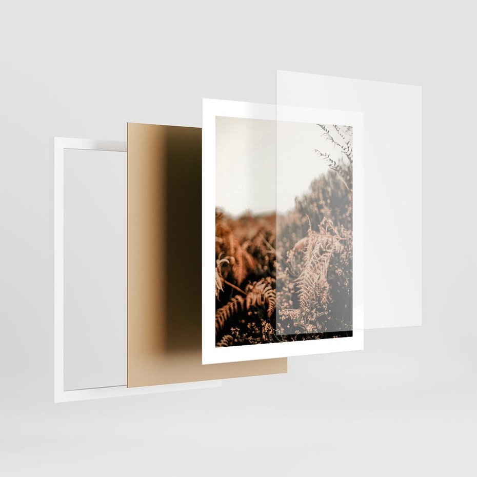 Plakat w ramie 40x50 - Jesienna Harmonia - suche paprocie, jesienny krajobraz - rama biała
