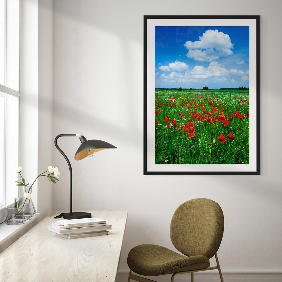 Plakat bez ramy 40x50 - Kolorowa łąka pełna maku - łąka, maki