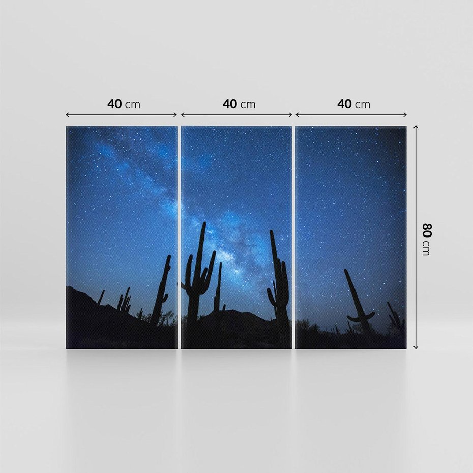 Obraz na płótnie 120x80 - Kaktusy - Niebo z gwiazdami - kaktusy, niebo