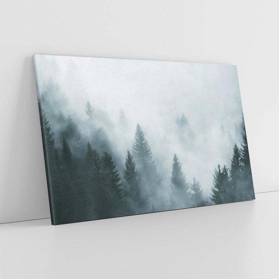 Obraz na płótnie 70x50 - Las w Mgłe - las, we