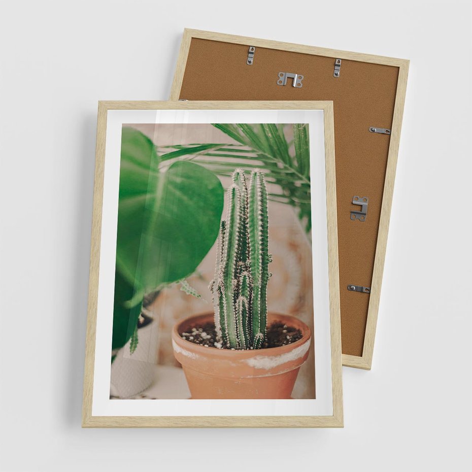 Plakat w ramie 50x70 - Boho Urok - kaktus w doniczce, gliniana doniczka - rama drewno