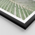 Plakat w ramie 50x70 - Jasna Zieleń Palmy - liść palmy, zbliżenie - rama czarna