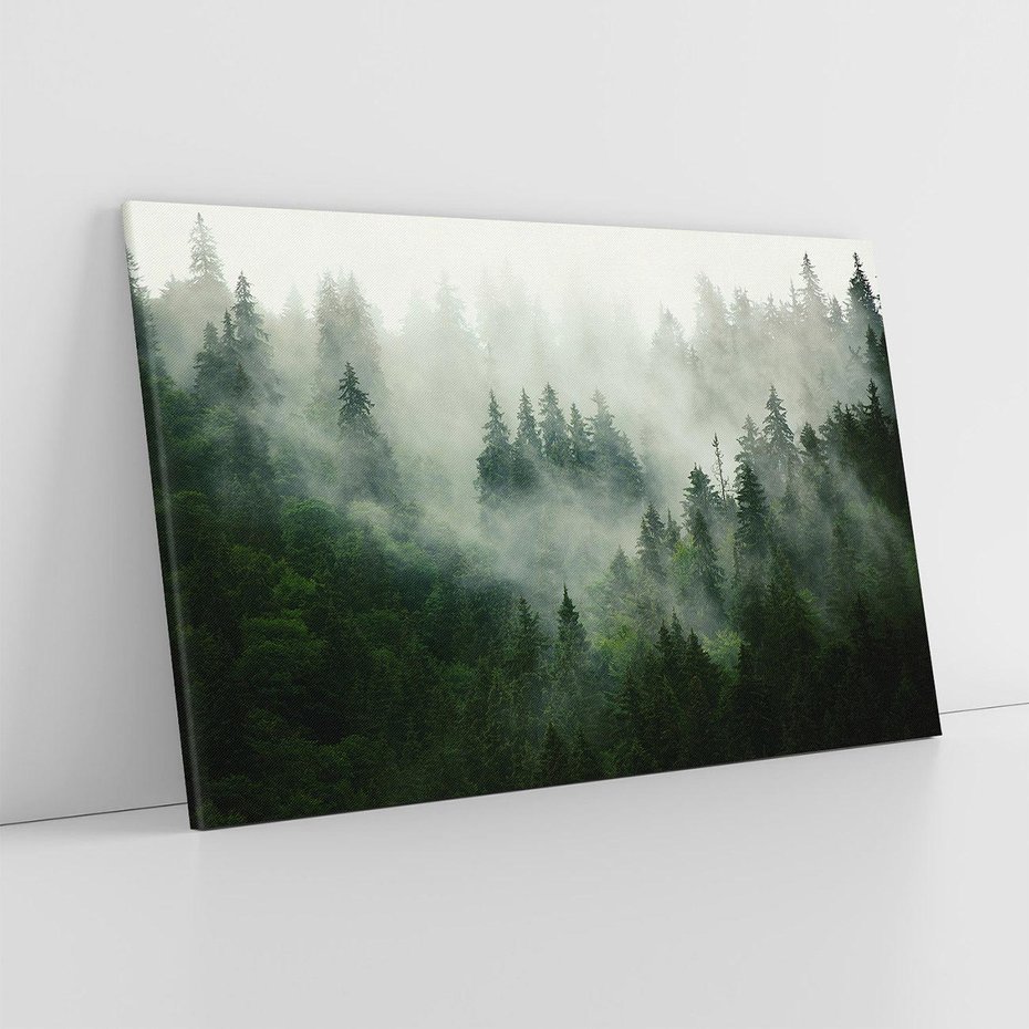Obraz na płótnie 120x80 - Las Mgły - Las, we
