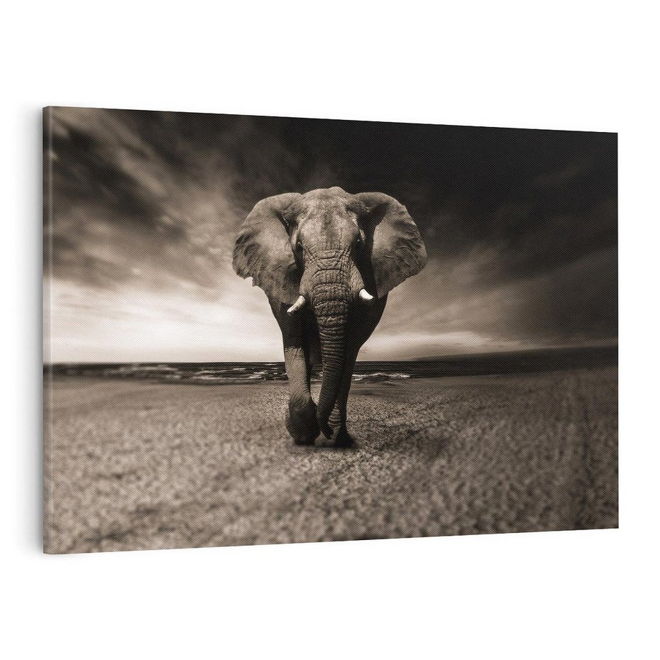 Obraz na płótnie 120x80 - Słoń - Wielki Przyjaciel Morza - słoń, plaża
