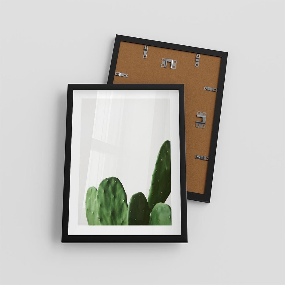 Plakat w ramie 30x40 - Minimalizm Natury - kaktus, zbliżenie - rama czarna