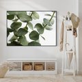 Obraz w ramie 100x70 - Zielone eukaliptusy - eukaliptus, liście - rama czarna