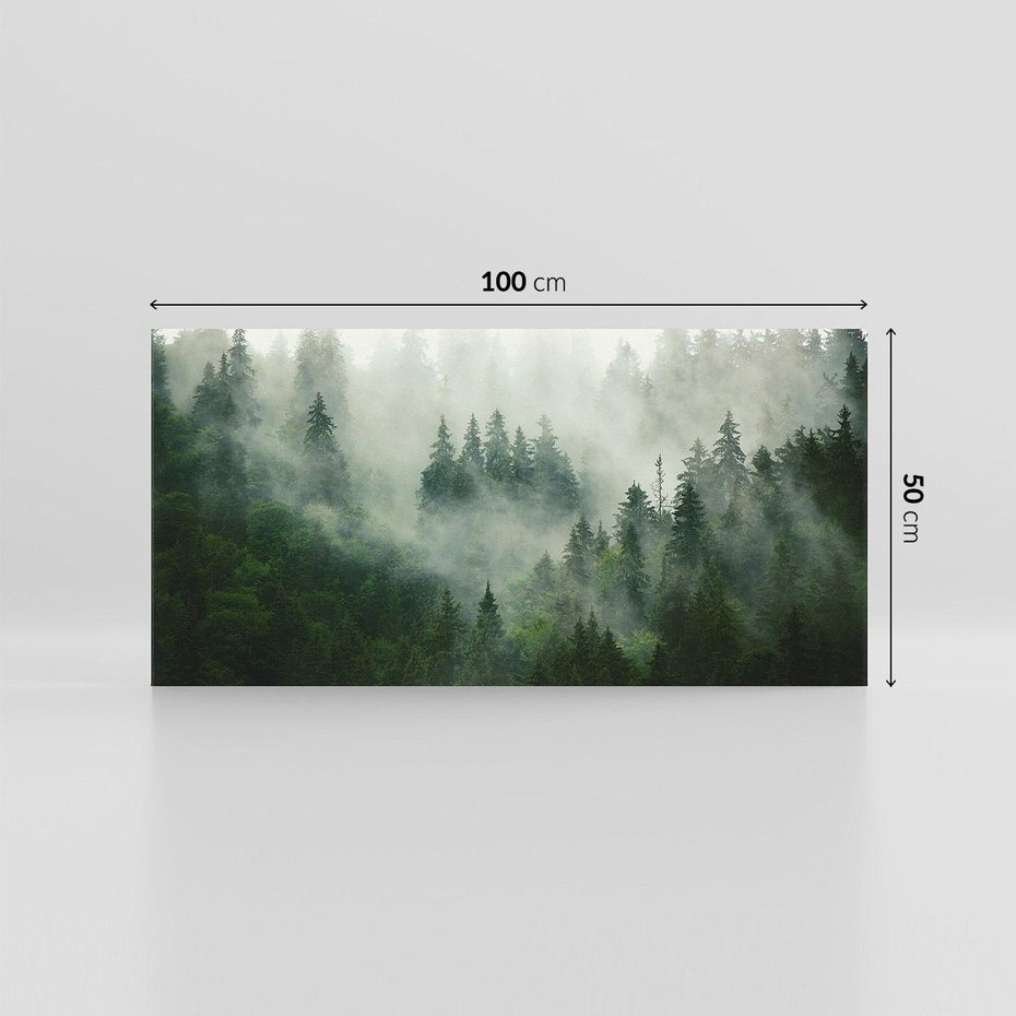 Obraz na płótnie 100x50 - Las Mgły - Las, we