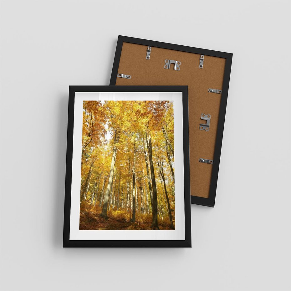 Plakat w ramie 30x40 - Jesienny Las - Kolorowa Paleta Natury - jesień, drzewa - rama czarna