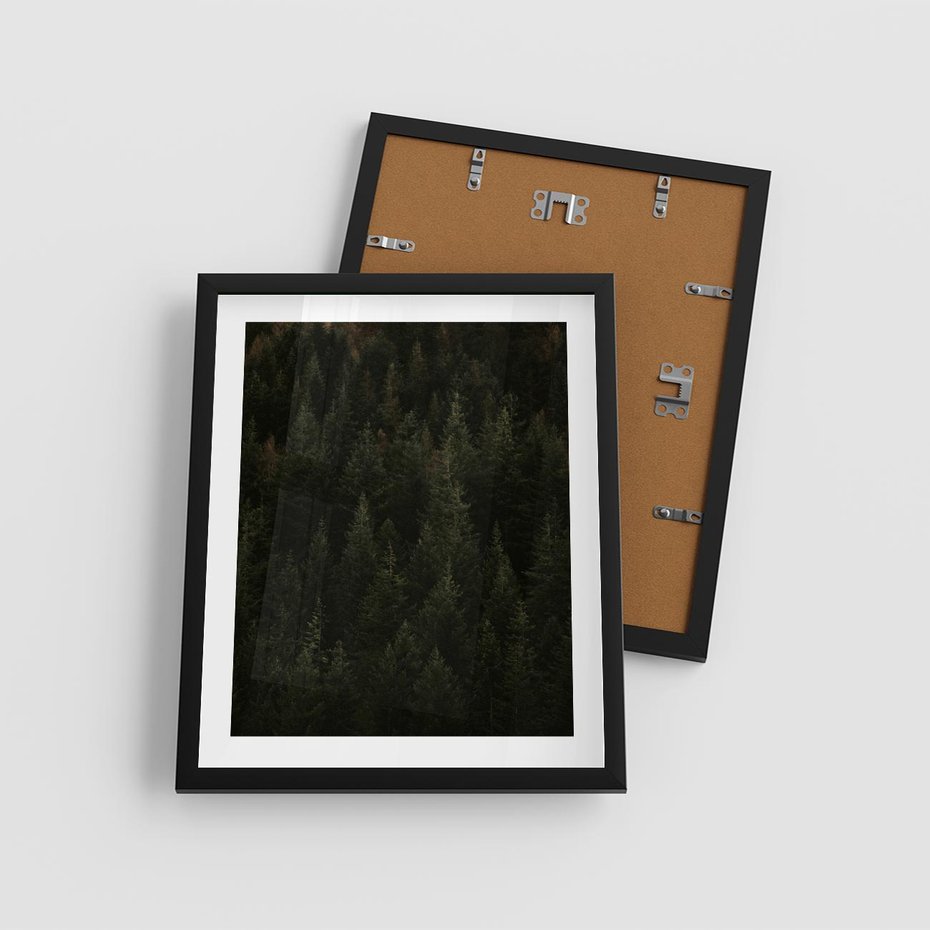 Plakat w ramie 40x50 - Ciemny las iglasty - las, iglasty - rama czarna