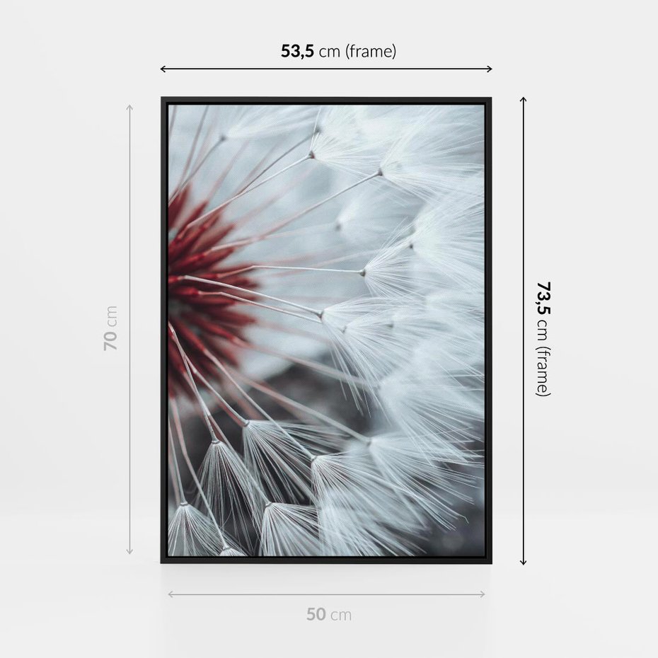 Obraz w ramie 50x70 - Makro świat dmuchawca - dmuchawiec, makro - rama czarna