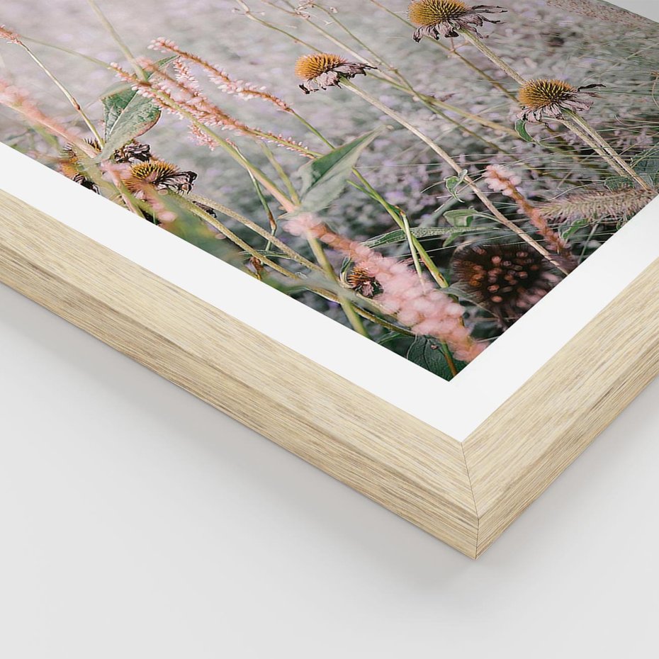 Plakat w ramie 40x50 - Przyroda w Pełnym Blasku: Kolorowa łąka z Kwiatami - łąka, kwiaty na łące - rama drewno