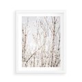 Plakat w ramie 40x50 - Szron na Gałęziach - ośnieżone gałązki, szron na gałęziach - rama biała