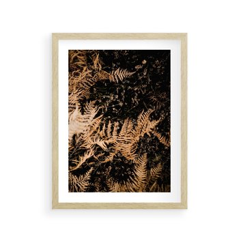 Plakat w ramie 40x50 - Jesienne Paprocie: Kolorowa Paleta Natury - paprocie, jesień - rama drewno