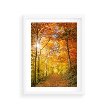 Plakat w ramie 30x40 - Złote barwy jesiennego lasu - las, jesień - rama biała
