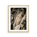 Plakat w ramie 30x40 - Kukurydza w Jesiennej Scenie - kukurydza, jesień - rama drewno