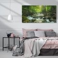 Obraz na płótnie 120x60 - Ukojenie strumienia: Spotkanie z naturą - strumyk, las