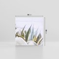Obraz na płótnie 50x50 - Sukulentowe liście - liście, sukulenty