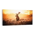 Obraz na płótnie 100x50 - Magia jesiennego słońca: Jeleń w promieniach - jeleń, jesień