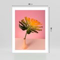 Plakat bez ramy 40x50 - Egzotyczna monstera - monstera, liść
