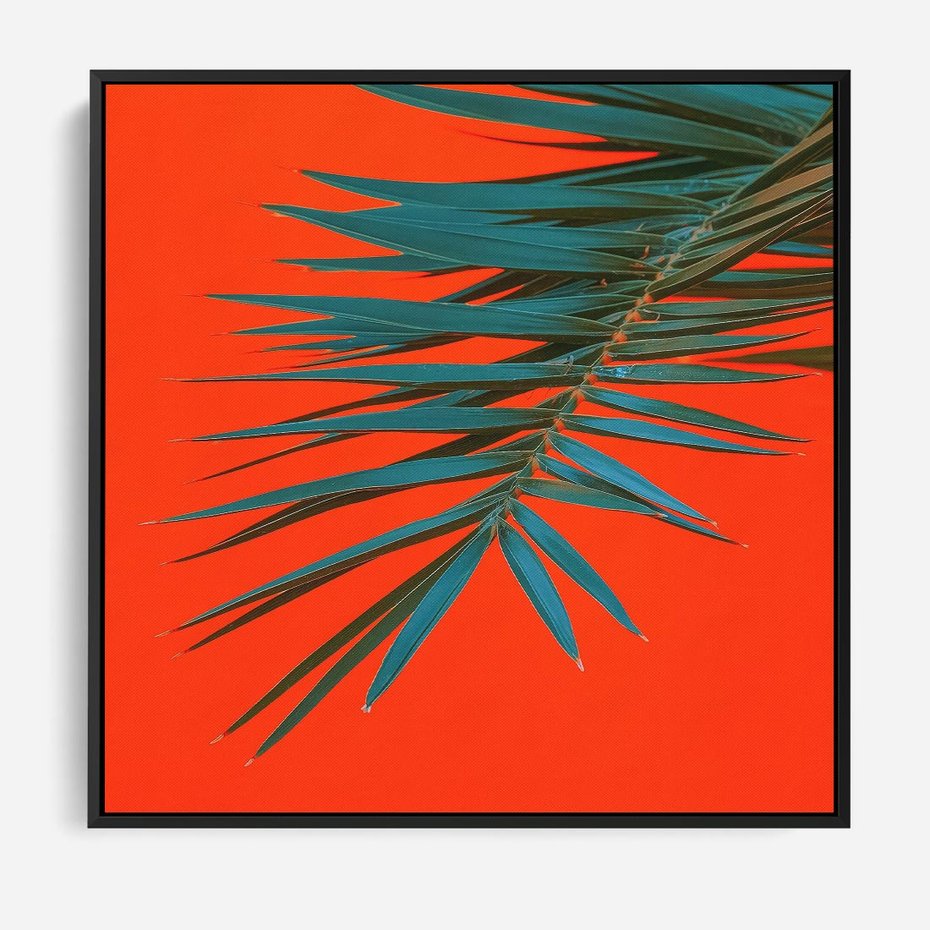 Obraz w ramie 50x50 - Egzotyczny Urok - liście, palma - rama czarna