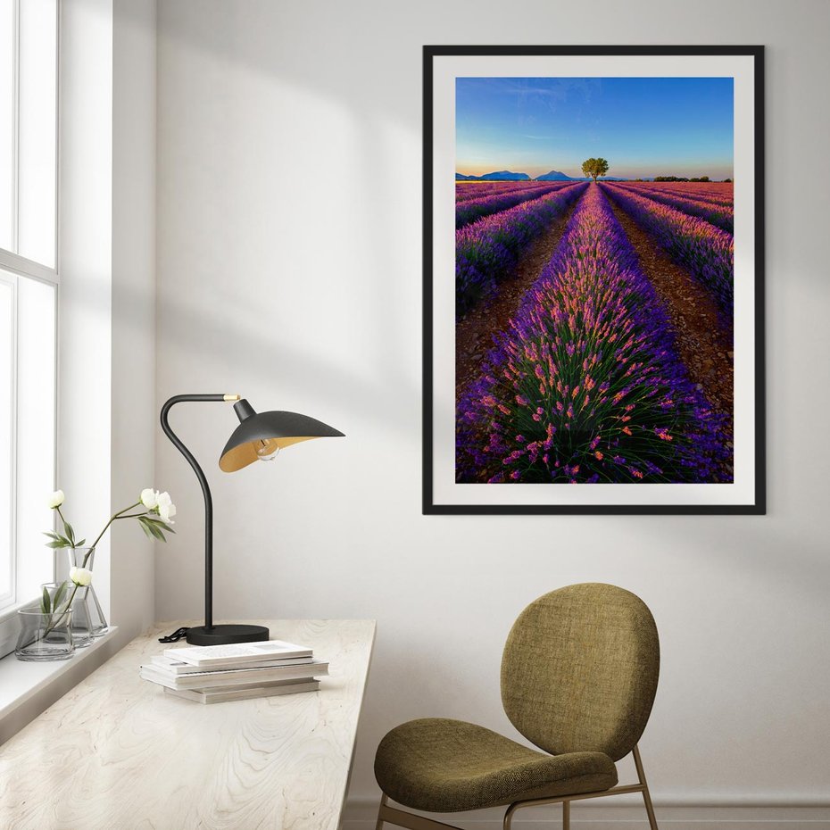 Plakat bez ramy 40x50 - Fioletowa Magia - pole, lawendy