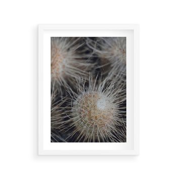 Plakat w ramie 30x40 - Ulotna Piękność Natury - makro, dmuchawce - rama biała