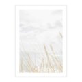 Plakat bez ramy 21x30 - Jasna Delikatność: Fotografia Suchych Traw - suche trawy, jasna fotografia