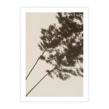 Plakat bez ramy 50x70 - Tajemniczy Cień Traw - cień traw, na ścianie