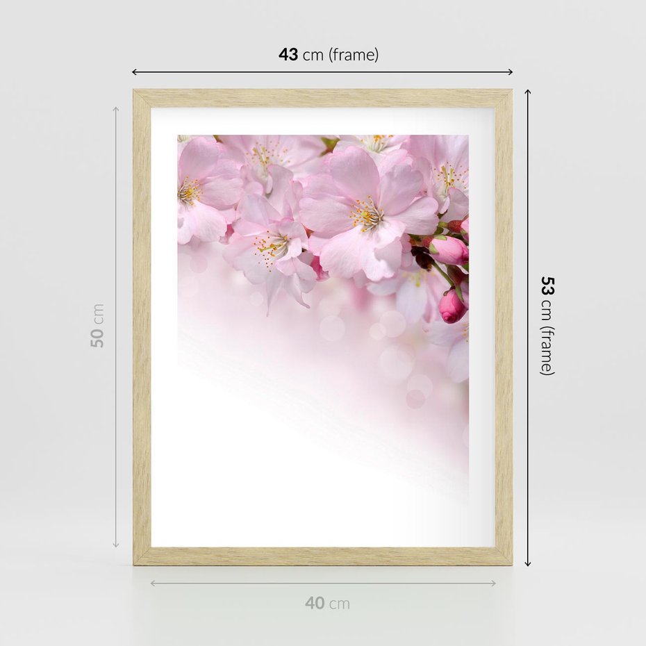 Plakat w ramie 40x50 - Kwitnąca Wiśnia - kwiaty, kwitnącej - rama drewno