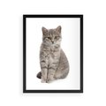 Plakat w ramie 30x40 - Kocie uroki na płótnie - kot, kotek - rama czarna