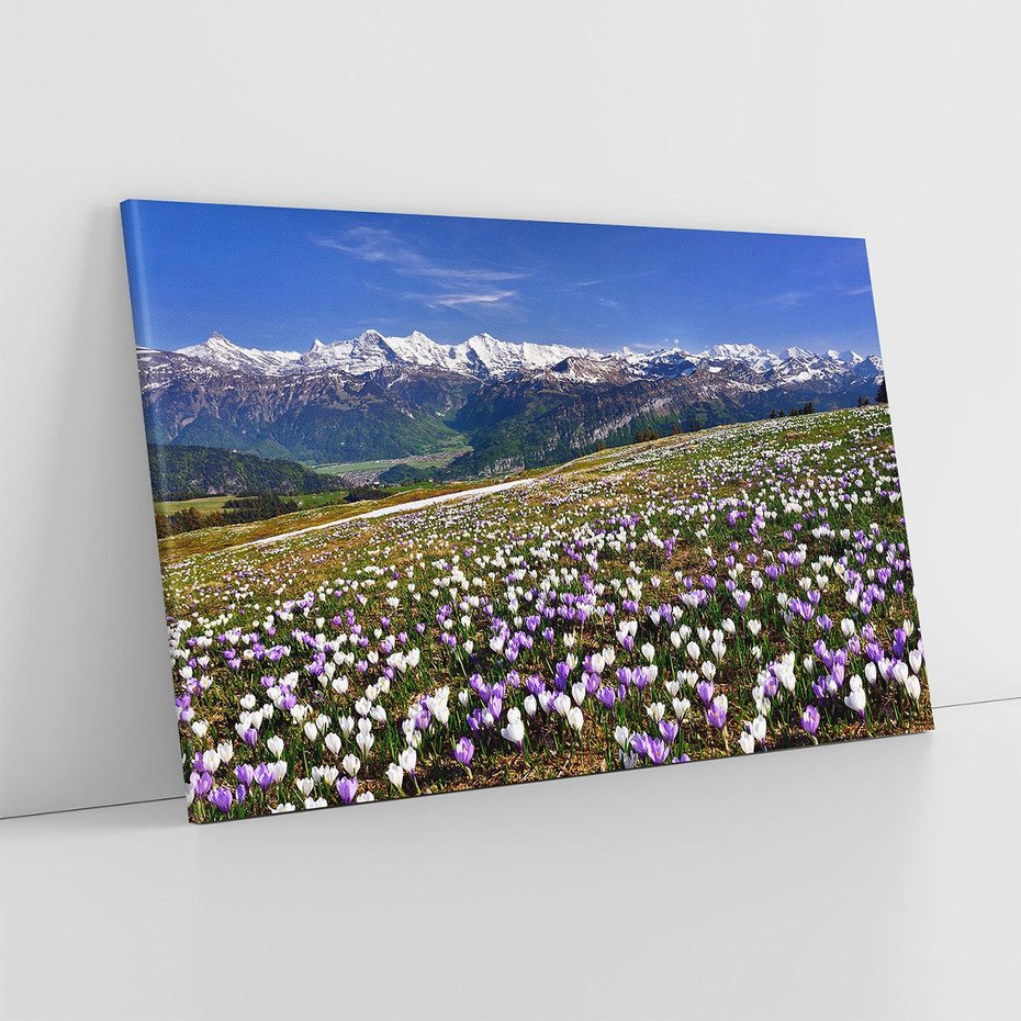 Obraz na płótnie 100x70 - Wiosenne Czarowanie - krokusy, góry