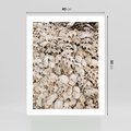 Plakat bez ramy 40x50 - Symfonia Natury - kompozycja z białych muszli