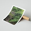 Plakat bez ramy 30x40 - Żywiołowa Zieleń - mur, liście