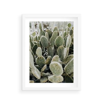 Plakat w ramie 50x70 - Kaktusowa Harmonia - kaktusy, fotografia - rama biała