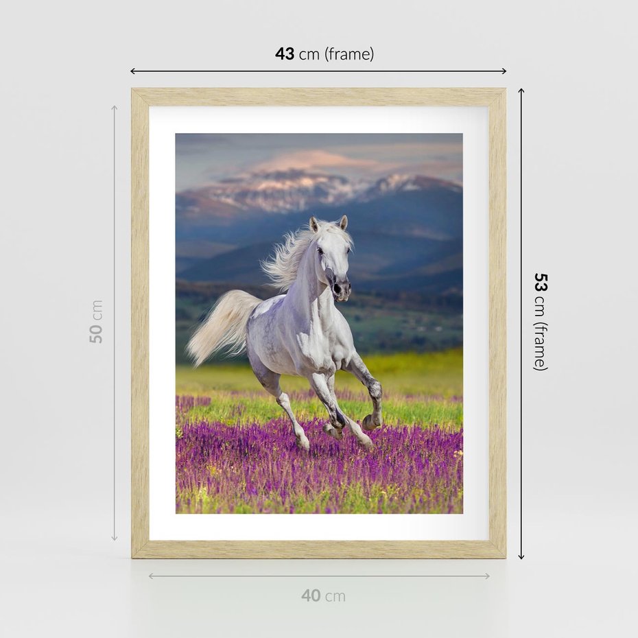 Plakat w ramie 40x50 - Koń Góry: Spotkanie z Wielką Przyrodą - koń, góry - rama drewno