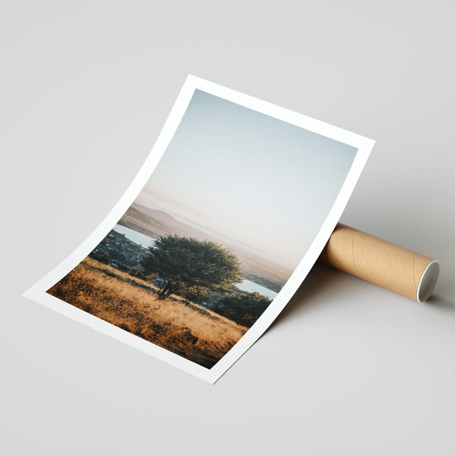 Plakat bez ramy 40x50 - Siła Natury - drzewo, pejzaż