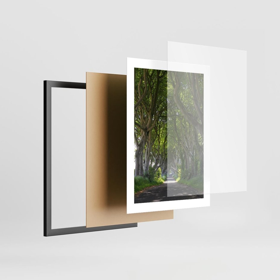 Plakat w ramie 30x40 - Magiczny Las - drzewa, las - rama czarna