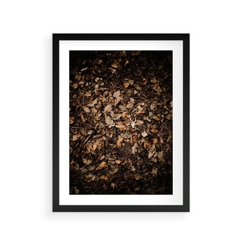 Plakat w ramie 50x70 - Brązowe Liście w Scenerii - suche liście jesień brąz - rama czarna