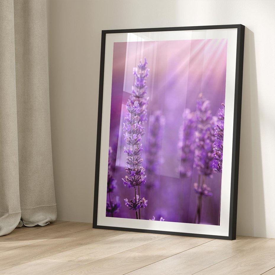 Plakat w ramie 30x40 - Fioletowa harmonia lawendy - lawenda, fiolet - rama czarna