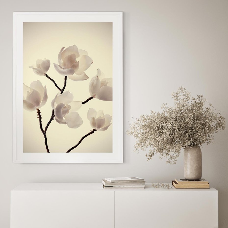 Plakat w ramie 40x50 - Elegancja Natury - magnolia, białe - rama biała