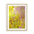 Plakat w ramie 50x70 - Delikatność natury - lawenda, kwiaty - rama drewno