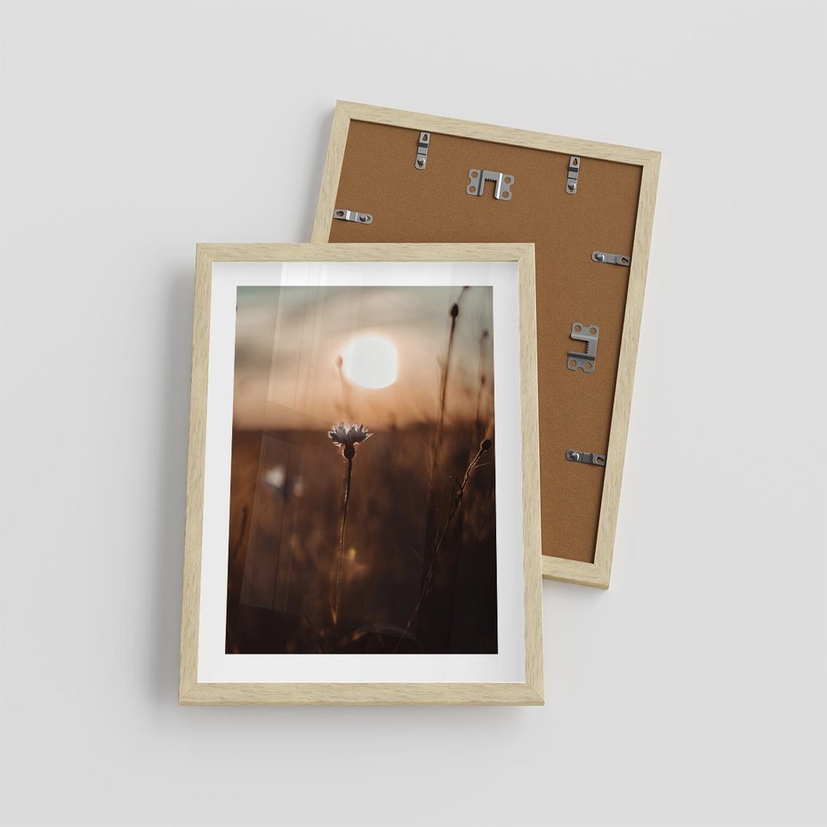 Plakat w ramie 30x40 - Spokój łąki pod zachodem słońca - zachód, słońca - rama drewno