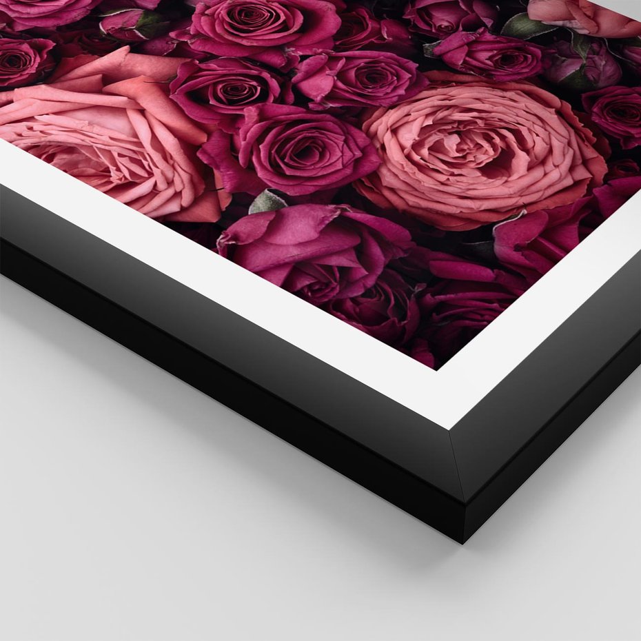 Plakat w ramie 40x50 - Róże - piękno kwiatów - róże, kwiaty - rama czarna