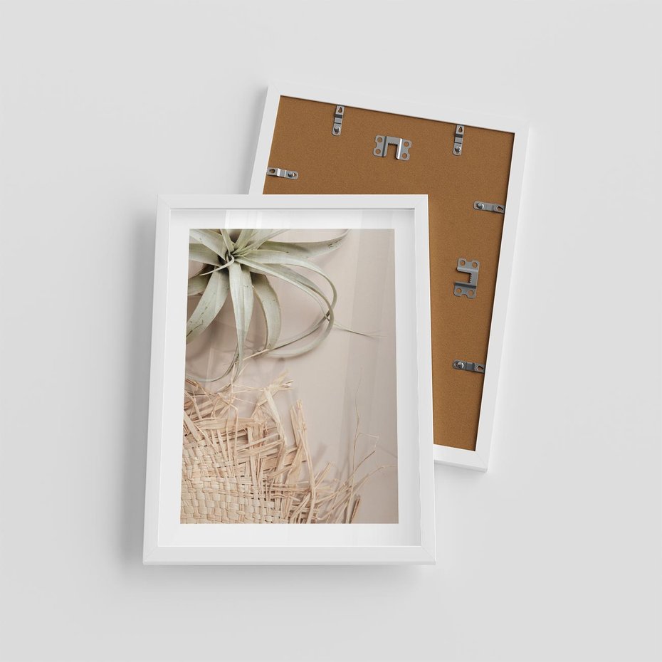 Plakat w ramie 30x40 - Aloes w Stylu Boho - kompozycja, wiklina - rama biała